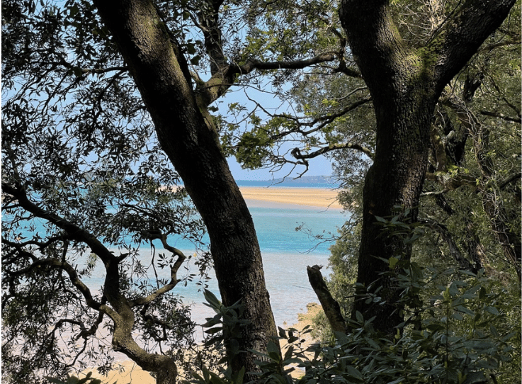 Basque Country coast